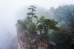 Zhangjiajie პარკი ან ავატარის მთები - ჩინეთი