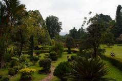Royal Botanic Gardens in Peradeniya