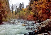 Odihnește-te în Dombai: Plimbă-te în pajiștile alpine, plimbă-te din munți, înoată în cascadele furtunoase
