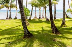 Micronezia, statele federale ale microneziei