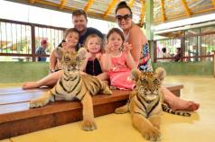 Entertainment in phuket where to go with children