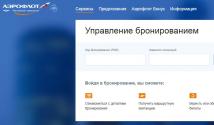Instructions on how to book Aeroflot plane tickets Pay for a booked Aeroflot ticket with a card