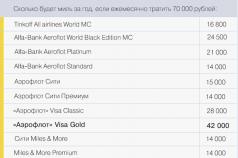 How to buy a ticket for Mili Aeroflot: how many bonuses need to be speaking where and for what you can pay miles