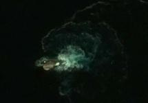 ظهر سلطعون عملاق قبالة سواحل المملكة المتحدة
