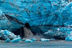 მთელი გართობა ერთ ჟურნალში Glacier Bay National Park და მისი ველური ბუნება