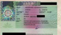 Instructions for filling out the Schengen visa application form