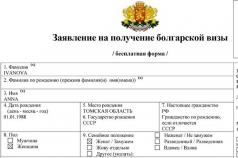 Exemplo de preenchimento de formulário de pedido de visto para a Bulgária